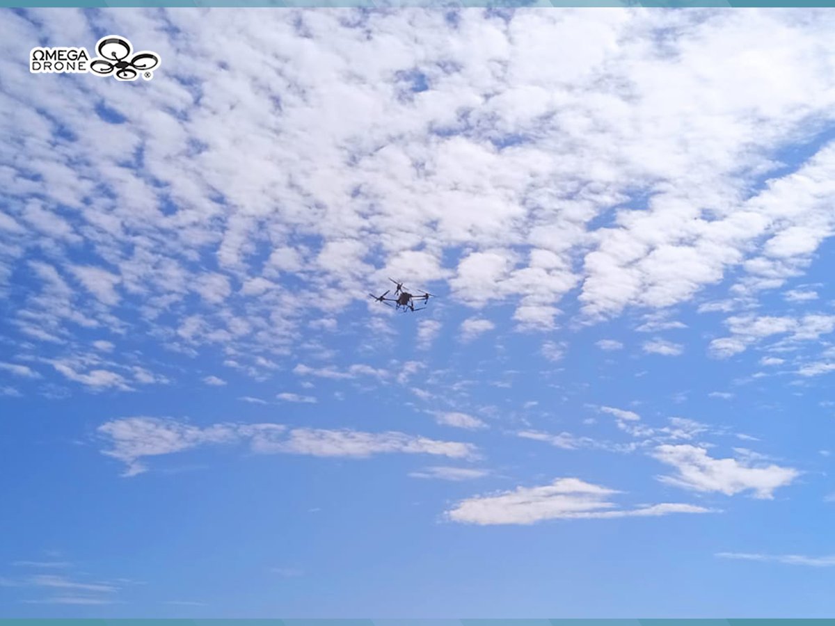 OmegaDrone7's tweet photo. ✅ Entrega y Capacitación Especializada 👨‍🌾 de Drone para Fumigación DJI Agras T40 🚁 para palmeras de Coco 🥥🌴 https://t.co/oAHAk5IYFP
