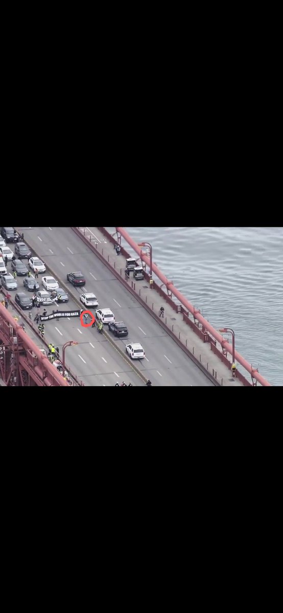This is false

@TroyATDilloTalk can be seen here, a member of the Palestine/Climate protest, blocking the Golden Gate

Clearly him here. Out & proud. #TexasStrong