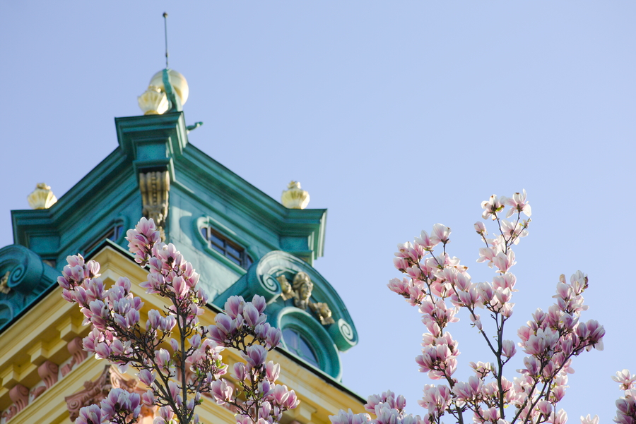 🌿 Come celebrate the V European Day of Historic Gardens with us on April 26th! 🏰 We invite you to take an interesting walk around @wilanowpalac, on April 26th (4:30 - 6 p.m) Discover more here: europeanhistoricgardens.eu/en/v-european-…