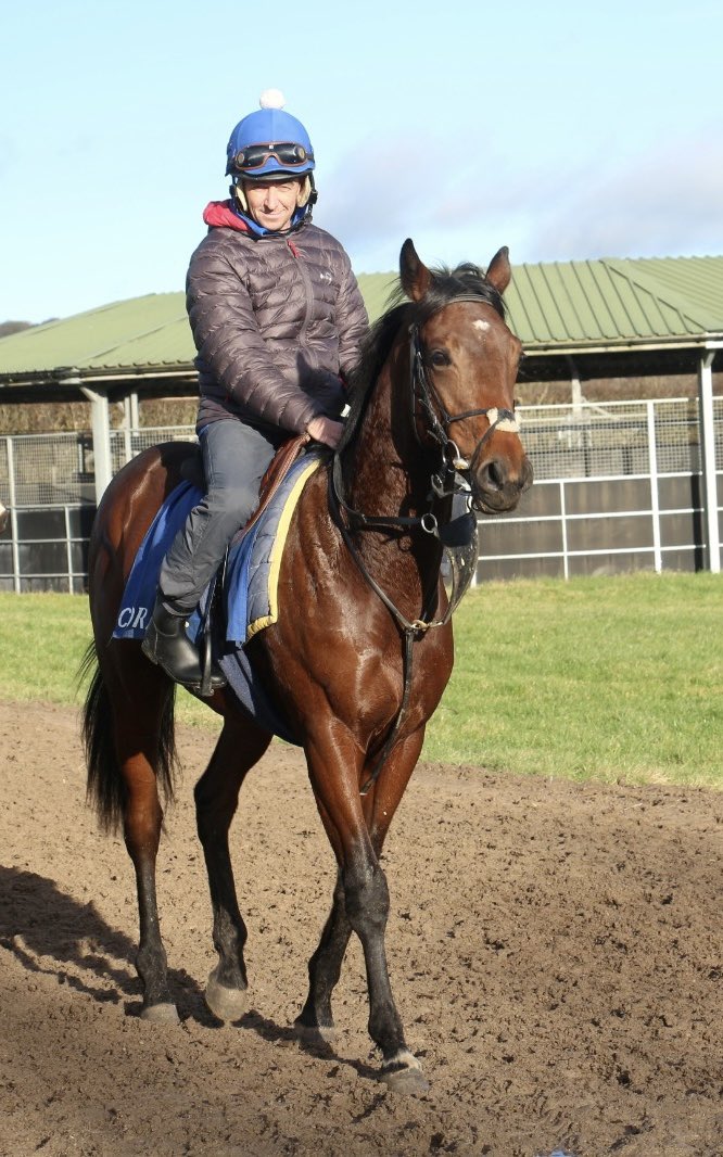 Our new colt King of Angels runs tomorrow @NewmarketRace for @MHS_HorseRacing with @jasonhart13 taking the ride . We love this colt and his owners can’t wait to see him make his debut . Good luck to all . 💙🧡TeamRoudeeRacing💙🧡