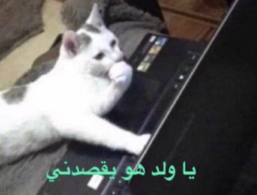 فيصل من بريدة tweet media