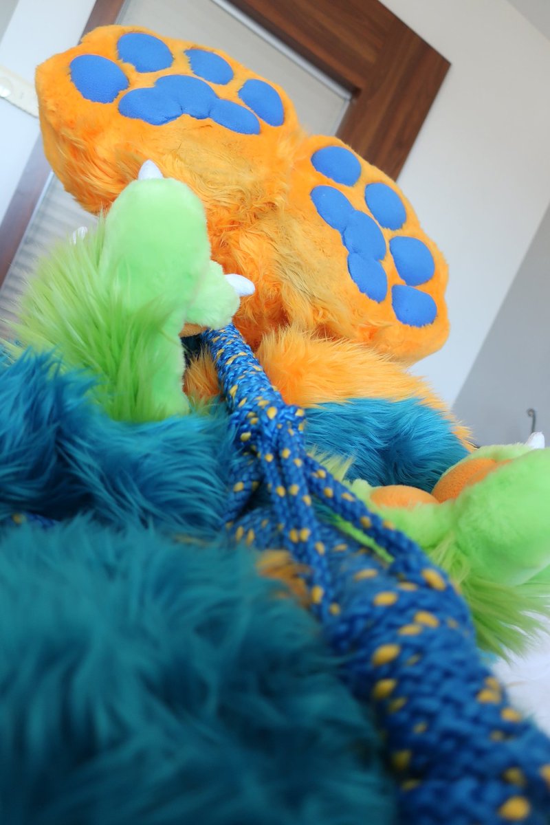 Rick the Wolf AD (@rick_the_wolf0) on Twitter photo 