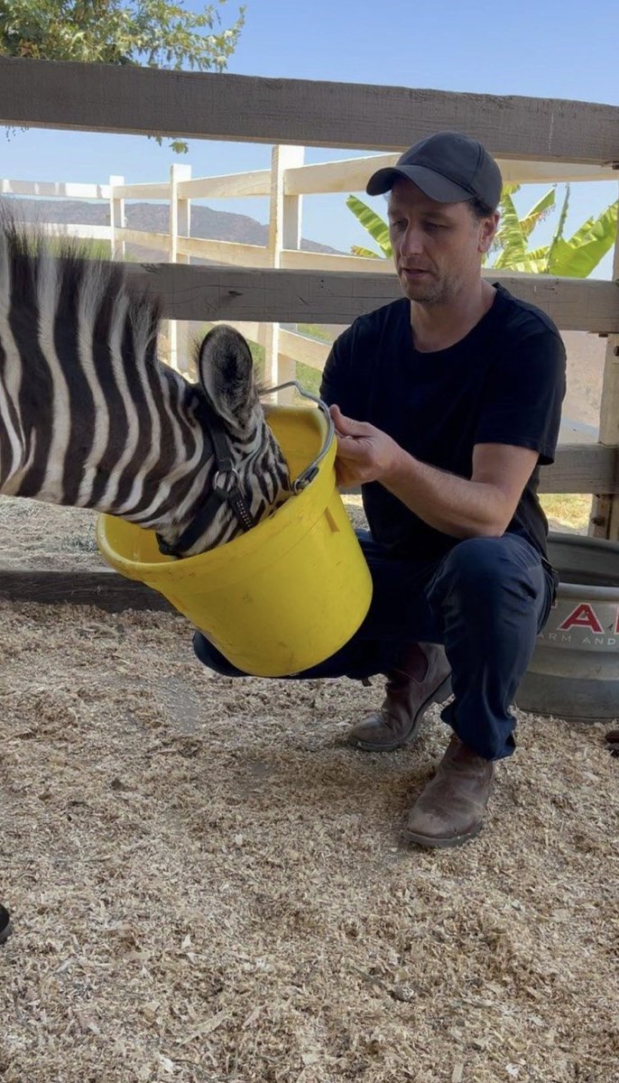 Work so busy I almost forgot about #MatthewMonday… anyways here he is feeding a zebra