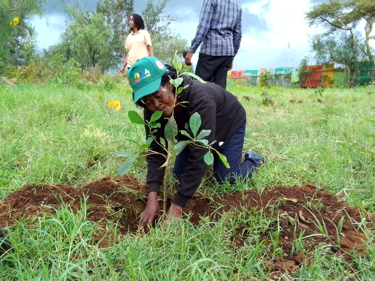 MazingiraHub's tweet photo. Scenes today in Kimuka primary school during the Indigenous Tree Day Inaugural.
Thanks to everyone that participated through our national focal point.
We planted 100 seedlings from 42 tree species out of which 5 are threatned
#PushBackBiodiversityLoss #indigenoustreeday24 https://t.co/4bSMqjRLmw