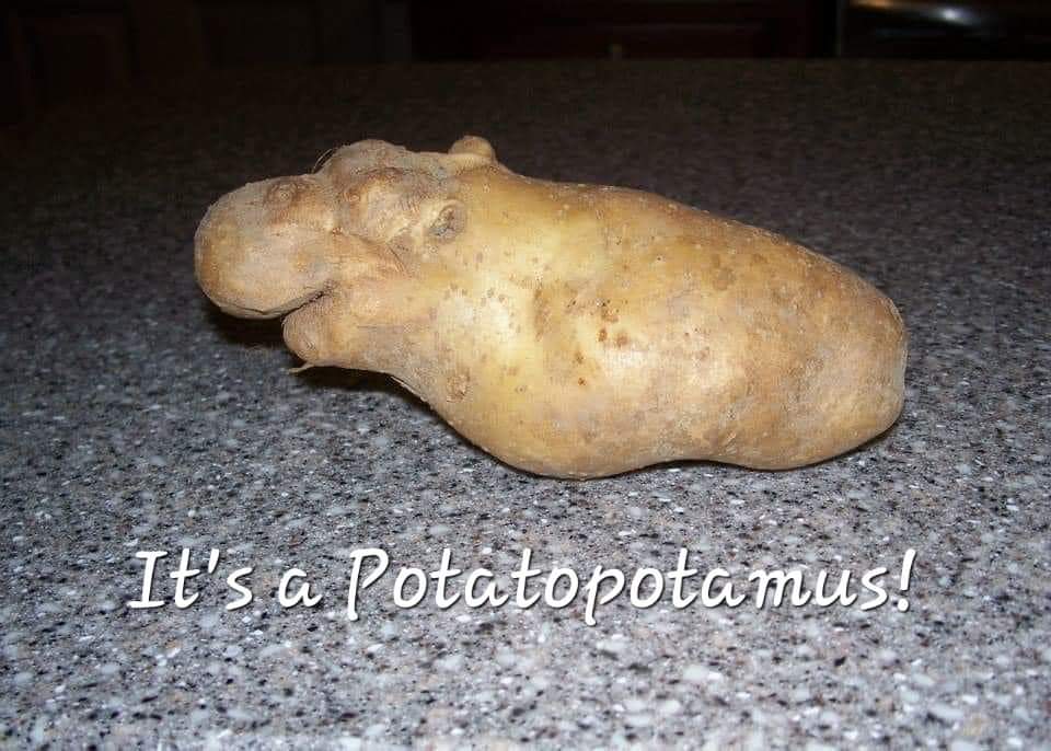 Una rara foto di <a href="/radiosilvana/">Radiosilvana</a> in cucina.