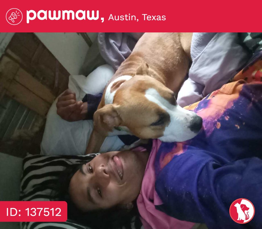 Gigi - Lost Dog in Austin, Texas, 78724

More Details:
pawmaw.com/lost-gigi/1375…

#LostPetFlyers #pawmaw
#LostDog #LostPet #MissingDog
#LostCat #FoundDog #FoundPet