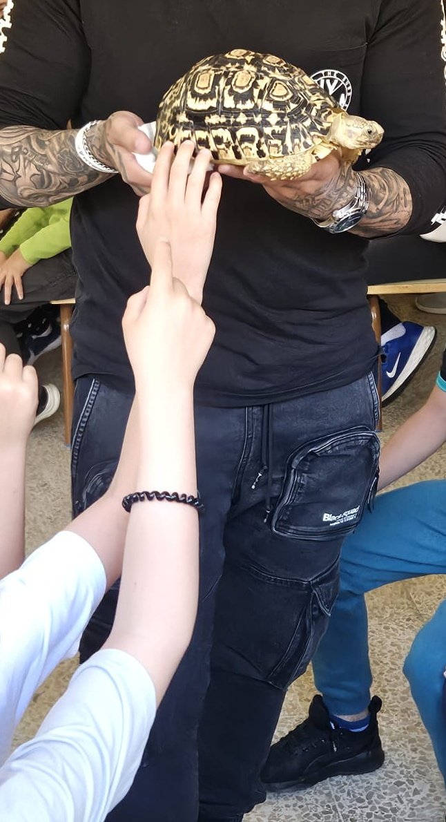 CEIPMARQUÉSDEVALERO tweet media