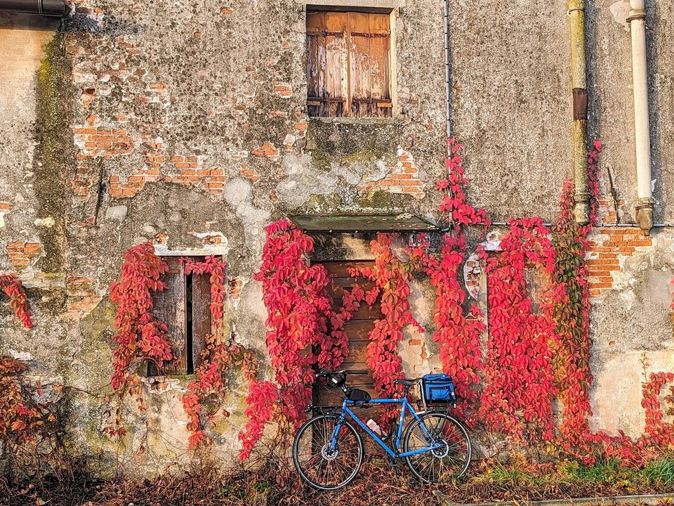 Here we are with an exciting collection of our customers' adventures!  Take a look at the incredible photos they've sent us during their bike  rides with our handmade steel frames.#BikeAdventures  #HandcraftedFrames #PassionForCycling
steelframebicycle.com/en/bikes-frame…