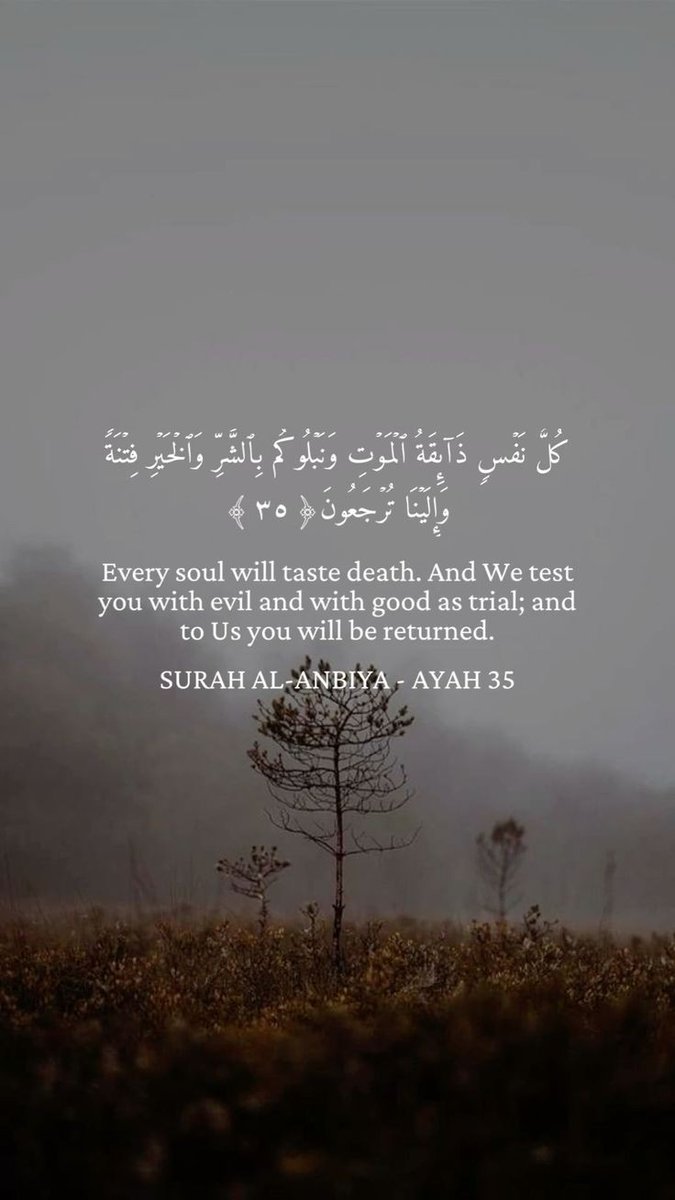 Retweet, it will help you