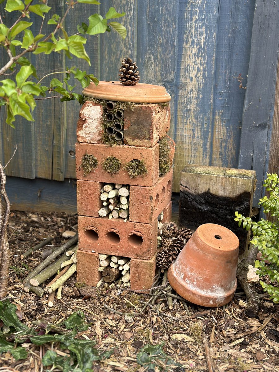 SmileHeartKiss's tweet photo. @INISNursery Teags is very excited to be back this week and she’s particularly looking forward to telling Mrs Underwood about her wildlife garden that she’s been building! 🥰 https://t.co/OloHyrzGNI