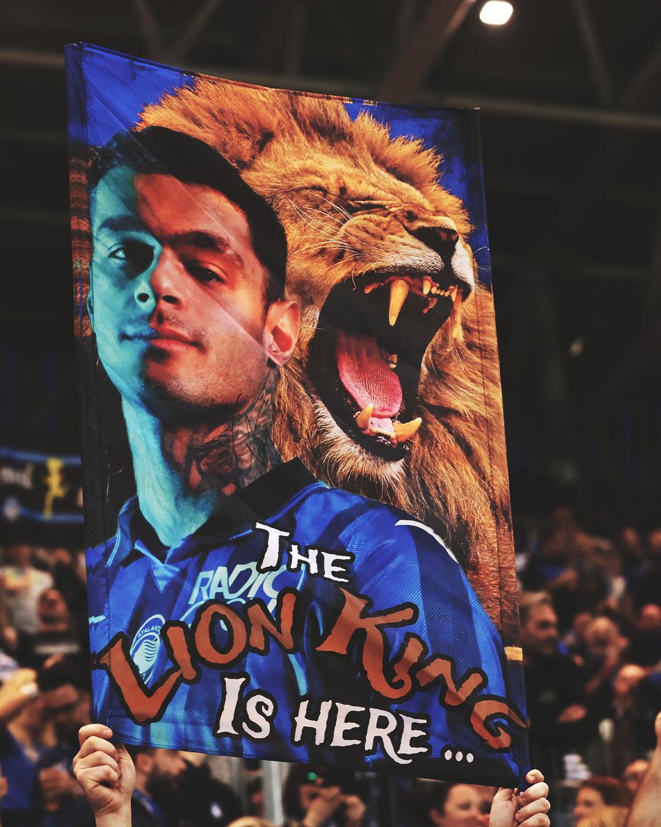 🦁 The Lion King 🦁

#AtalantaVerona