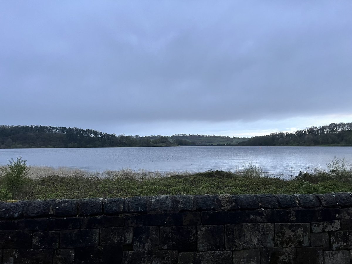 Adult Gannet at Ogston picked up by Tim and still asleep in front of the dam wall so should be there in the morning. 2 drake Goldeneye & a dozen Sand Martins zapping about @Derbyshirebirds @cockayne_simon @Mightychub @Willowglass12 dreadful conditions!