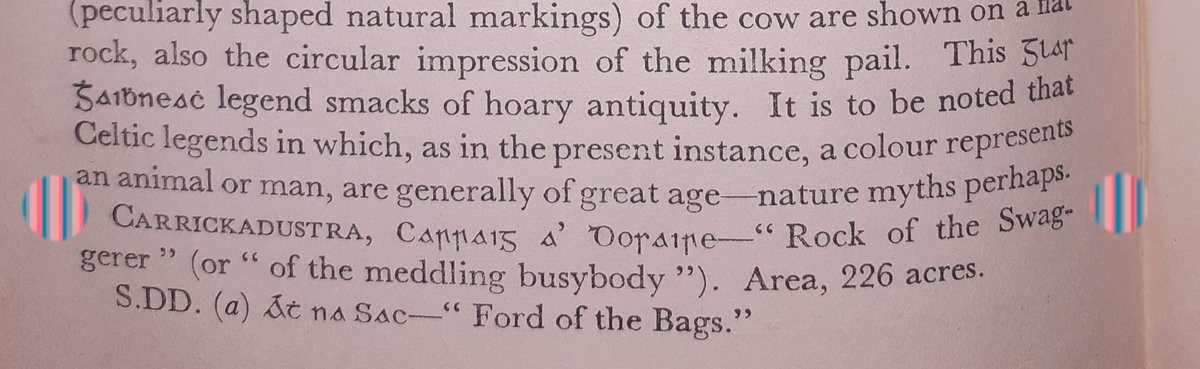 "Rock of the Swaggerer or Meddling Busybody" #Kilmeadan 😂 
I love how #placenames can tell us about the landscape, long forgotten monuments, people, places of importance. What I wouldn't give to know the story behind this #Waterford placename!! 
Patrick Powers Decies Placenames.