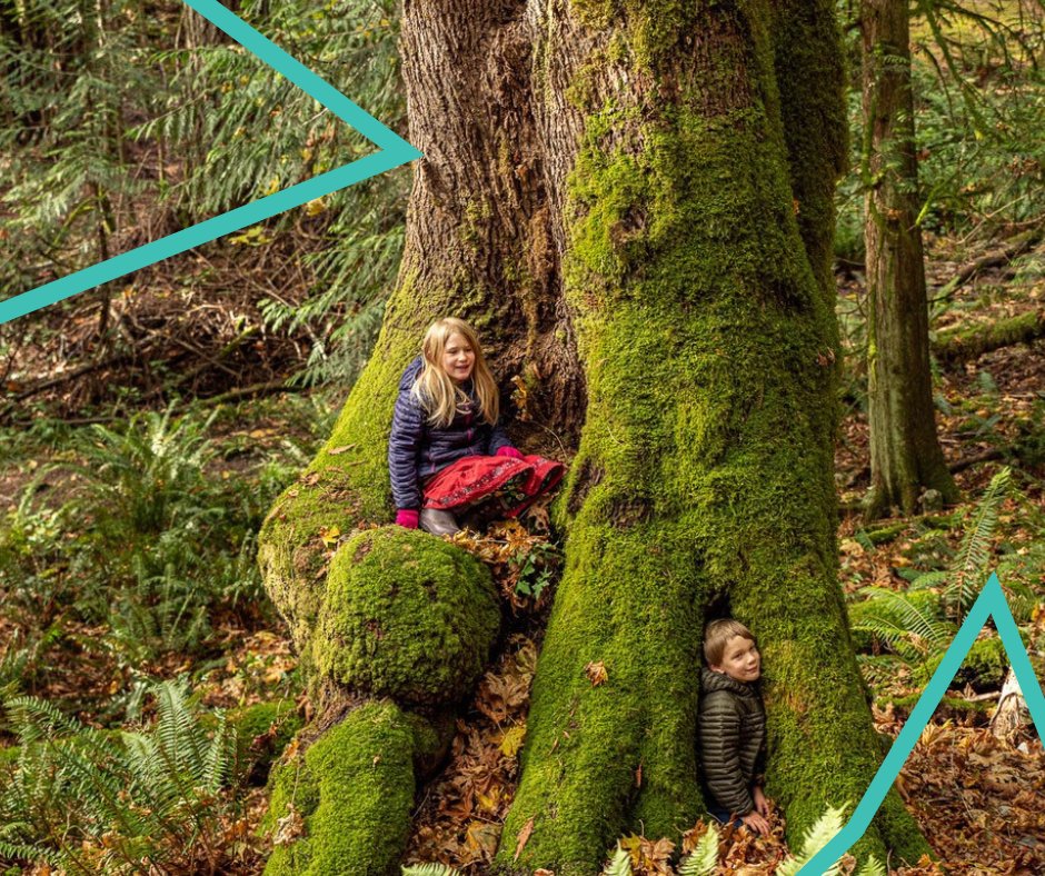 Together, we’re working to purchase and protect 31.2 acres of coastal Douglas fir forest and wetland on Salt Spring Island! 🌲 You can help by contributing to our crowdfunding campaign. Please donate today at bcparksfoundation.ca Photo: Pierre Mineau