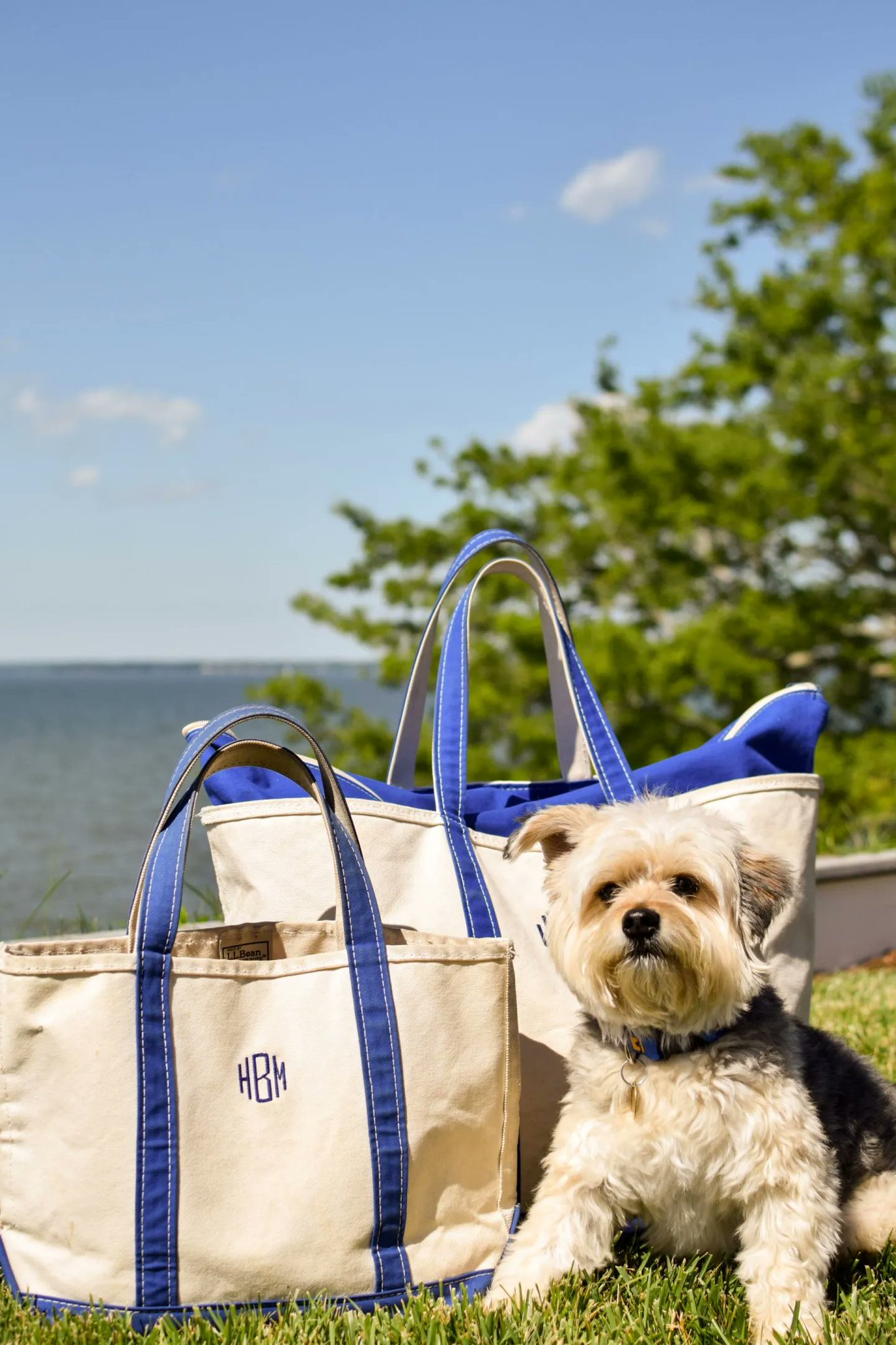 Ll bean dog tote bag new arrivals