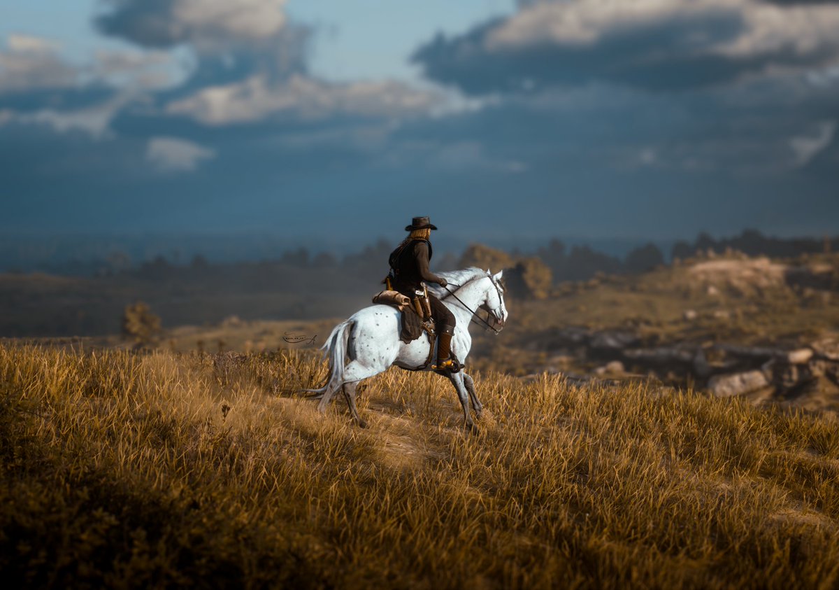 Red dead redemption II 🍁