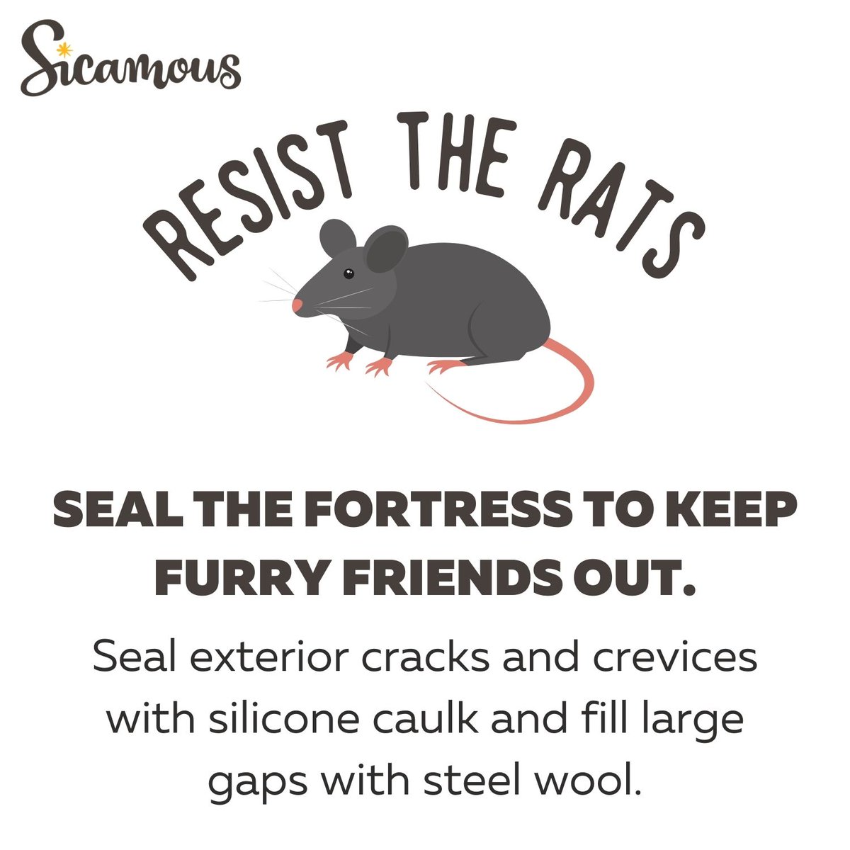 Help stop the spread of invasive rodents!🐀 Learn more about how you can protect your property: ow.ly/lByH50RgzOT
#Sicamous #SIcamousLiveMore #InvasiveRodents #Shuswap