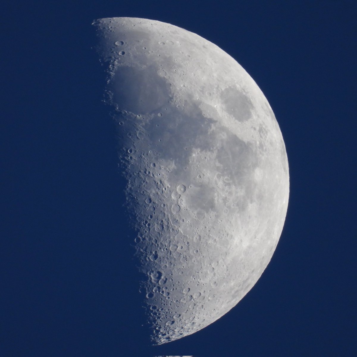 I reckon the Moon is on Red Bull tonight. Never seen it rock 'n' roll around the sky so fast. One minute it was over there, the next minute up there... Anyway, this one's bang on 50% 🌓 #halfmoon @StormHour @ThePhotoHour