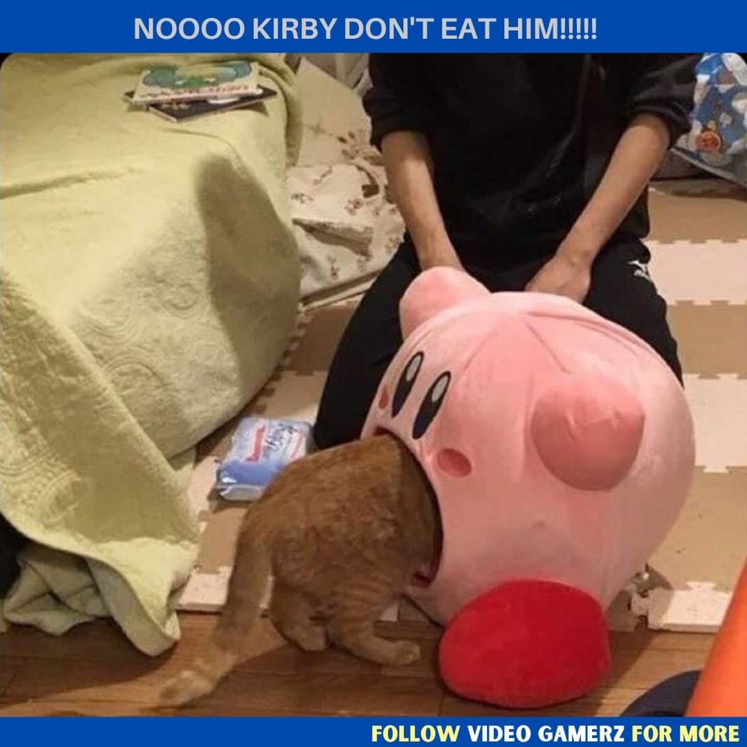 Oh no Kirby, not the cat