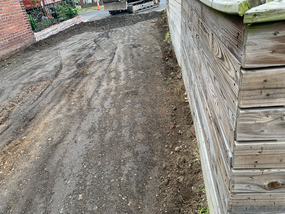 iowanindc's tweet photo. The city tore out our daffodils, tulips, and irises to widen the paved alleyway by a foot. Now we know not to spent time and money trying to beautify our adjacent public space https://t.co/GKC8jnrLCz