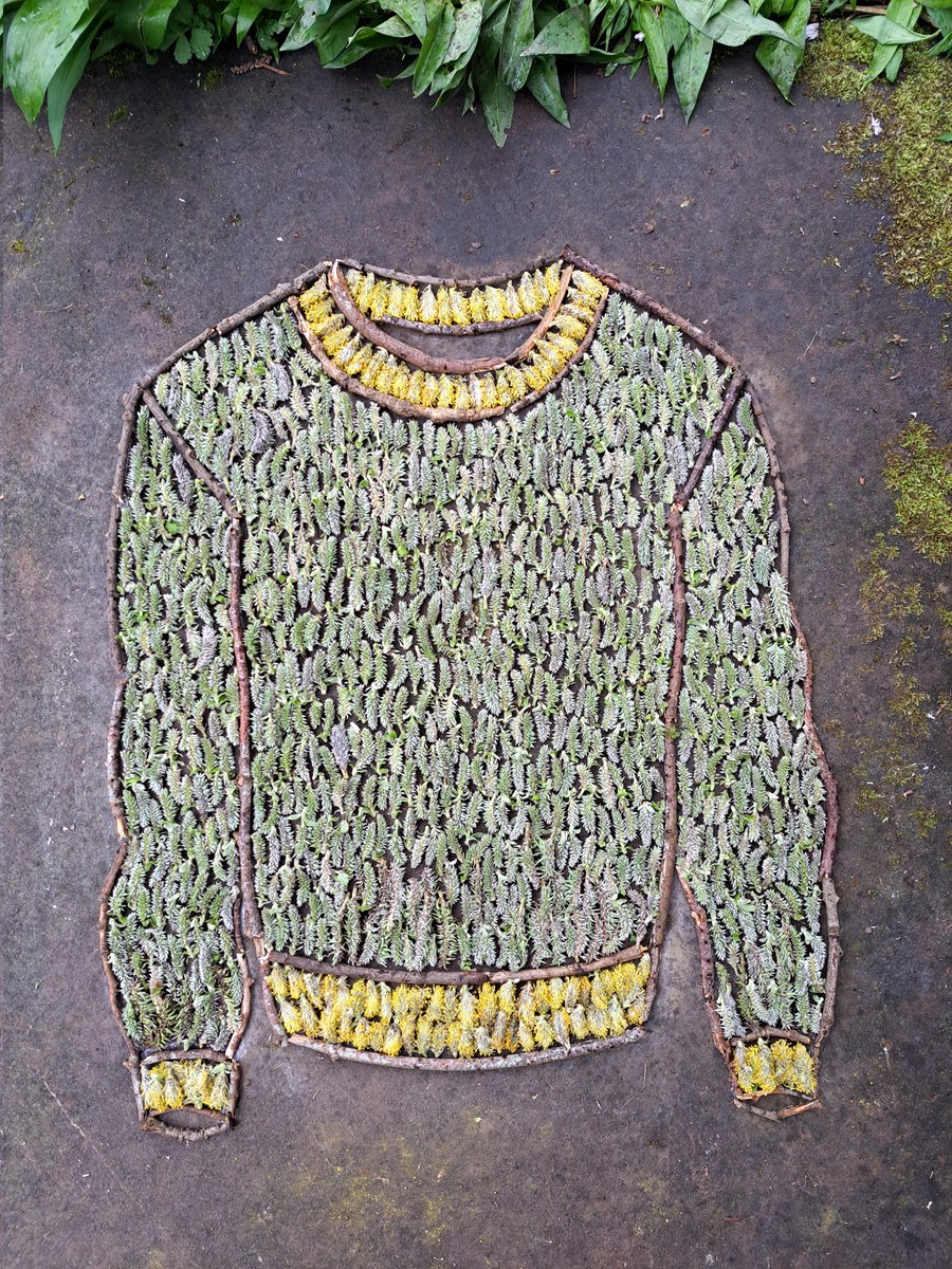 TimPughArtist's tweet photo. Catkin Jumper. Goat Willow,Grey Willow and twigs. Yeathouse Station Platform,Cumberland. #spring #seasonal #goatwillow #greywillow #springedition #temporary #transient https://t.co/dugHpAwJ9m