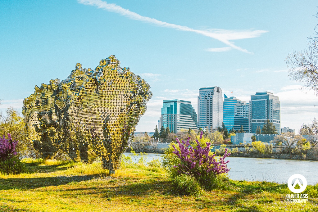 Downtown Sacramento as viewed from the west side of the Sacramento River. To the left you see Subtile by Federico Diaz. #Sacramento #visitsacramento #artscene #subtile #federicodiaz #exploresacramento #discoversacramento #westsacramento #visitcalifornia