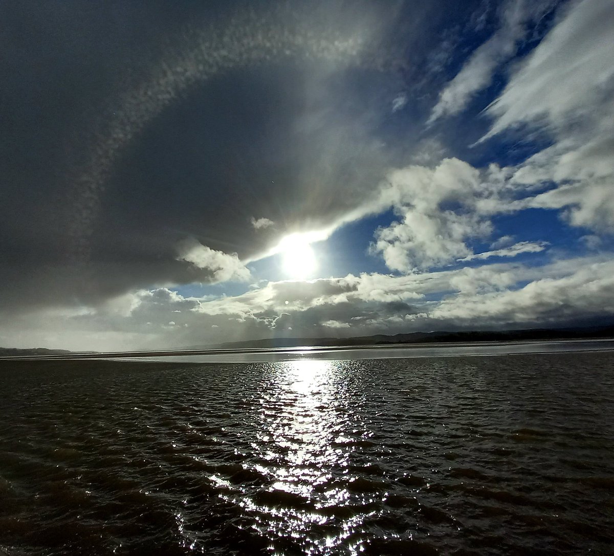GardenerSier's tweet photo. More of the same, sunshine and showers #Sandside https://t.co/YvLml6X19J