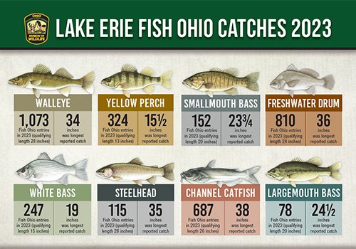 🐟 The Fish Ohio program celebrates amazing catches of 25 species of fish. On Lake Erie, popular species sought by anglers include walleye, yellow perch, smallmouth bass, and channel catfish. ⤵️