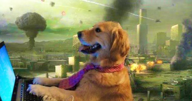 Me making memes on #Cryptocrash while losing all my savings:)

#IranAttackIsrael #IsraeliTerrorists