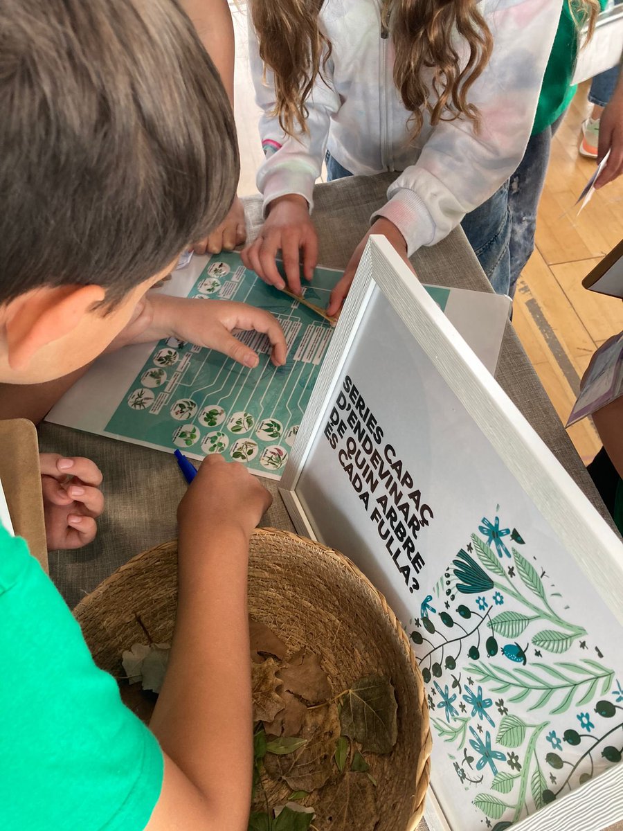 annapanisello's tweet image. Infants i joves amb capacitat de cercar i proposar solucions a problemes del món real, explicant amb primera persona els processos que han possibilitat l’adquisició dels seus aprenentatges. Això és FAIG en estat pur. #pelldegallina #FaigTTEE #aprenentatgeambmoltsentit