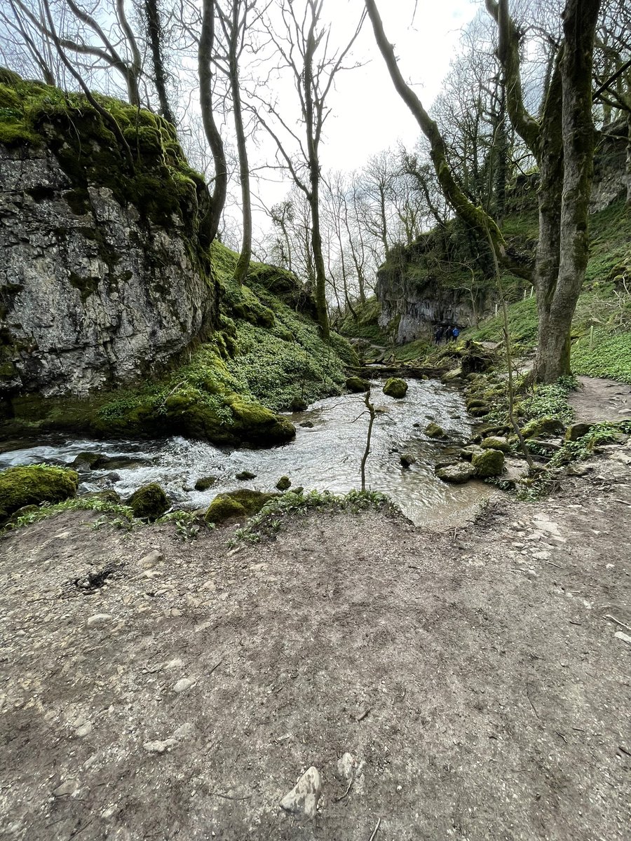 This is Janet’s Foss near Malham Cove, where I was on Sunday. It’s a truly magical place. I remember going there with Clem when he was 9 or 10. He loved it 🧡. #SmallBeautiesHour #BecauseOfClem #ThreadOfGold