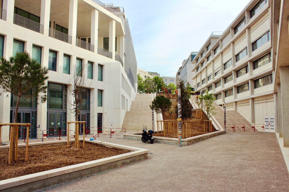 Le nouvel escalier monumental de la Porte d'Aix prend forme, agrémenté de quelques plantations d'arbres 🌳 #Marseille