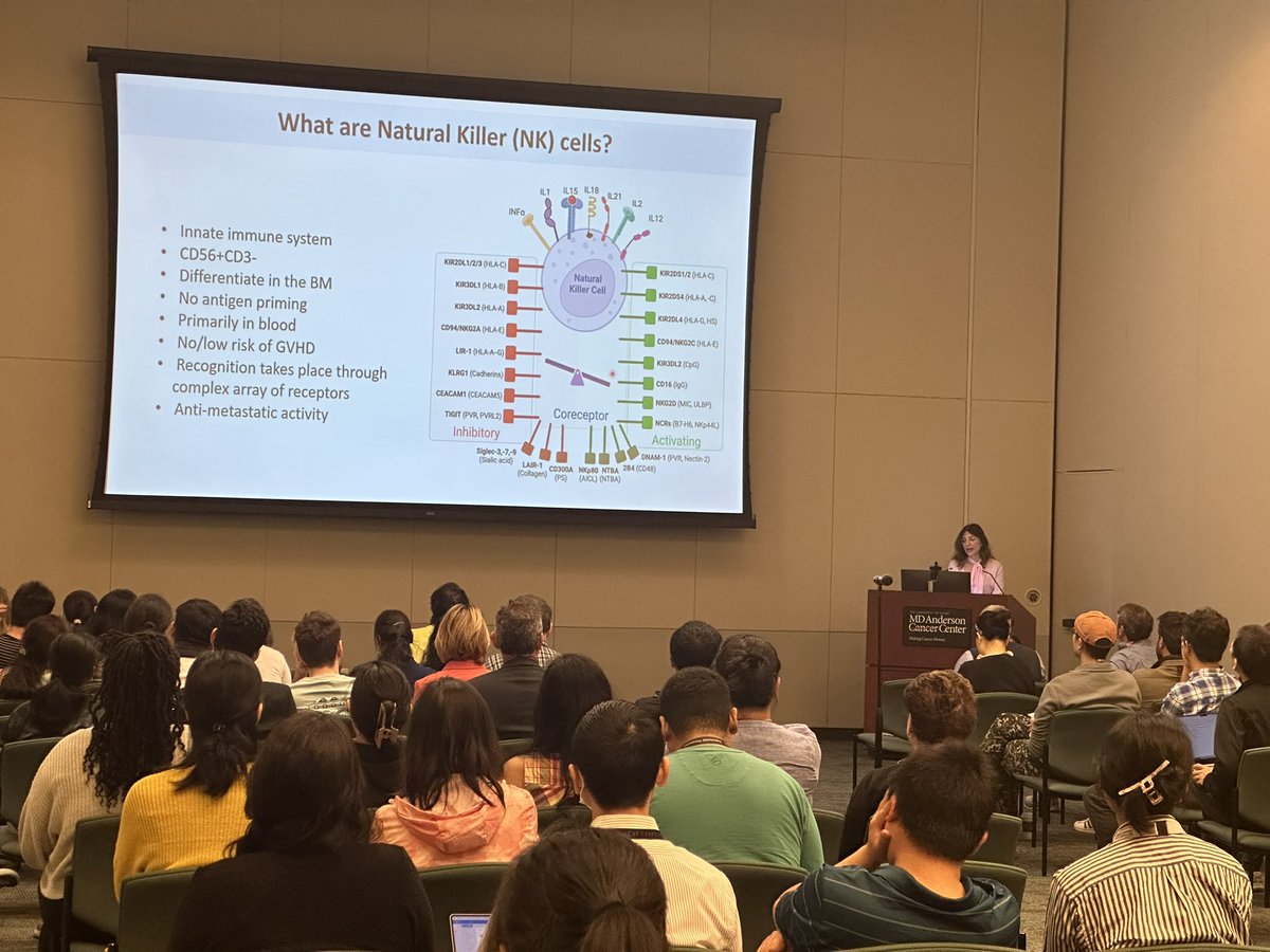 Hind Rafei tweet media