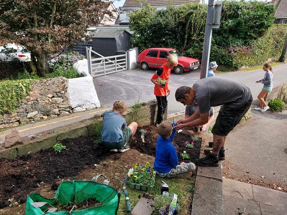 Wild Elements tweet media