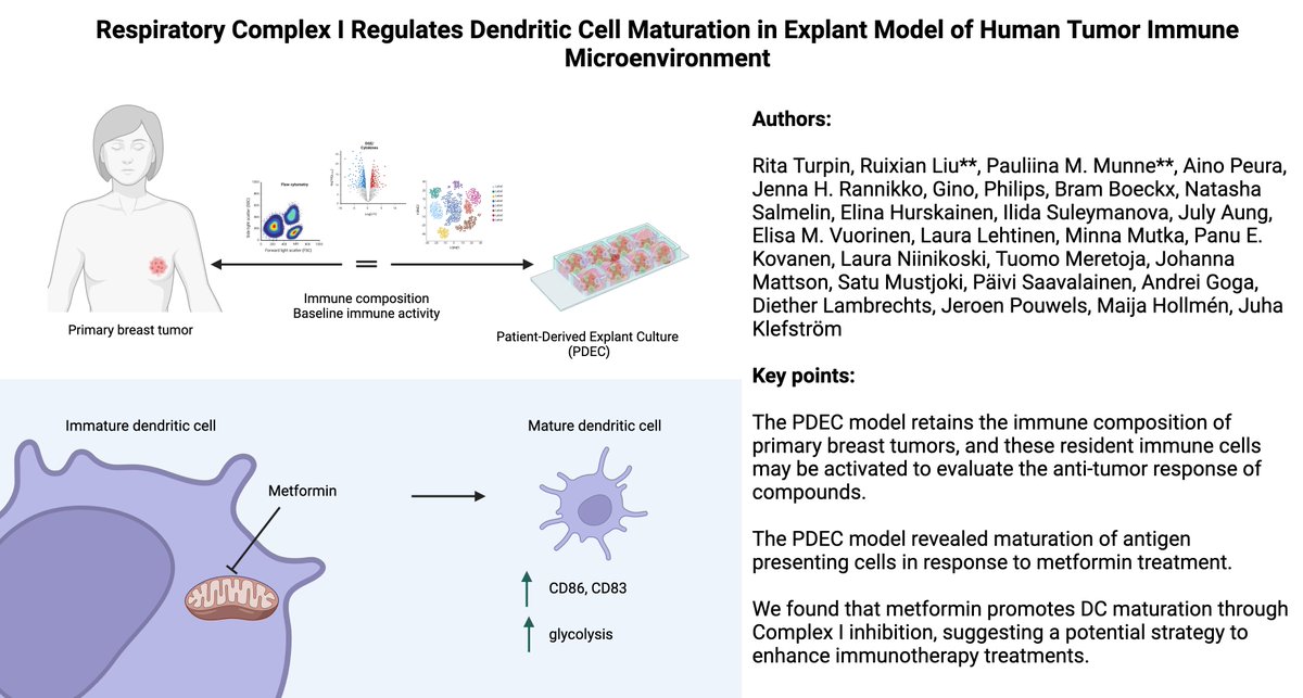 Journal for ImmunoTherapy of Cancer tweet media
