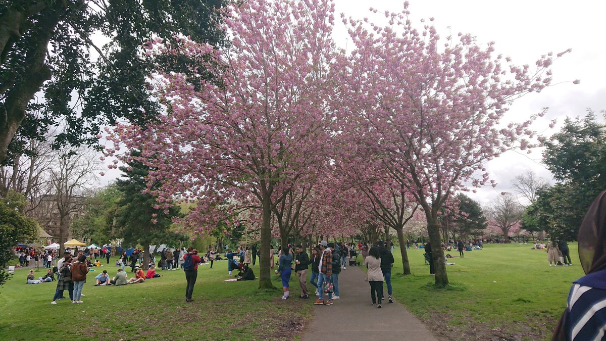 Wonderful to see so many people enjoying #HerbertPark on Sunday... It was very busy with the georgous #cherryblossom and the Market. Great to see. #Donnybrook