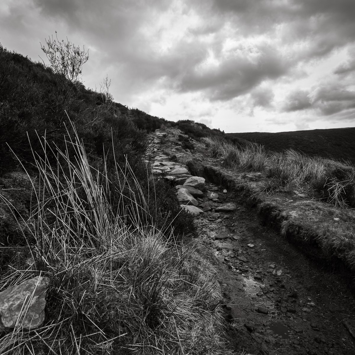 basculeteller's tweet photo. Langsett _Cut Gate in B&W #photography #landscape #Yorkshire #Penistone #PeakDistrict #7km #Flâneur #psychogeography #DarkFairytale #RuralMarginalia #bw #BlackAndWhite #monochrome #SonyFE1635PZf4 https://t.co/9R5TandIN0
