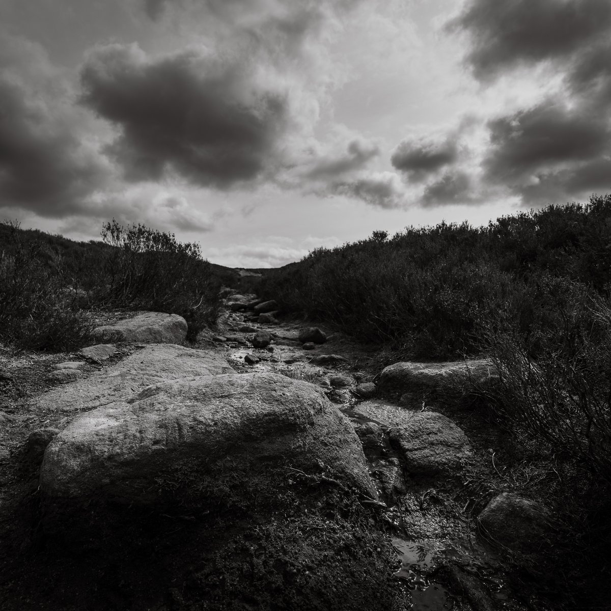 basculeteller's tweet photo. Langsett _Cut Gate in B&W #photography #landscape #Yorkshire #Penistone #PeakDistrict #7km #Flâneur #psychogeography #DarkFairytale #RuralMarginalia #bw #BlackAndWhite #monochrome #SonyFE1635PZf4 https://t.co/9R5TandIN0