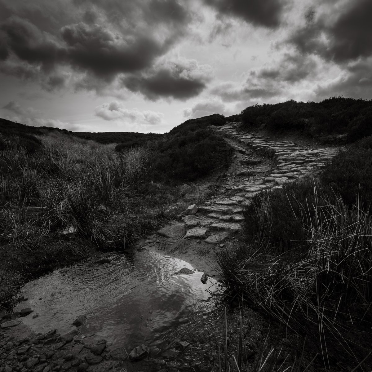 basculeteller's tweet photo. Langsett _Cut Gate in B&W #photography #landscape #Yorkshire #Penistone #PeakDistrict #7km #Flâneur #psychogeography #DarkFairytale #RuralMarginalia #bw #BlackAndWhite #monochrome #SonyFE1635PZf4 https://t.co/9R5TandIN0