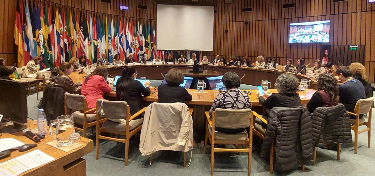 Ya estamos en plenaria en el marco de la reunión del Mecanismo de Participación de la Sociedad Civil del Foro de Países de América Latina y el Caribe para el Desarrollo Sostenible.