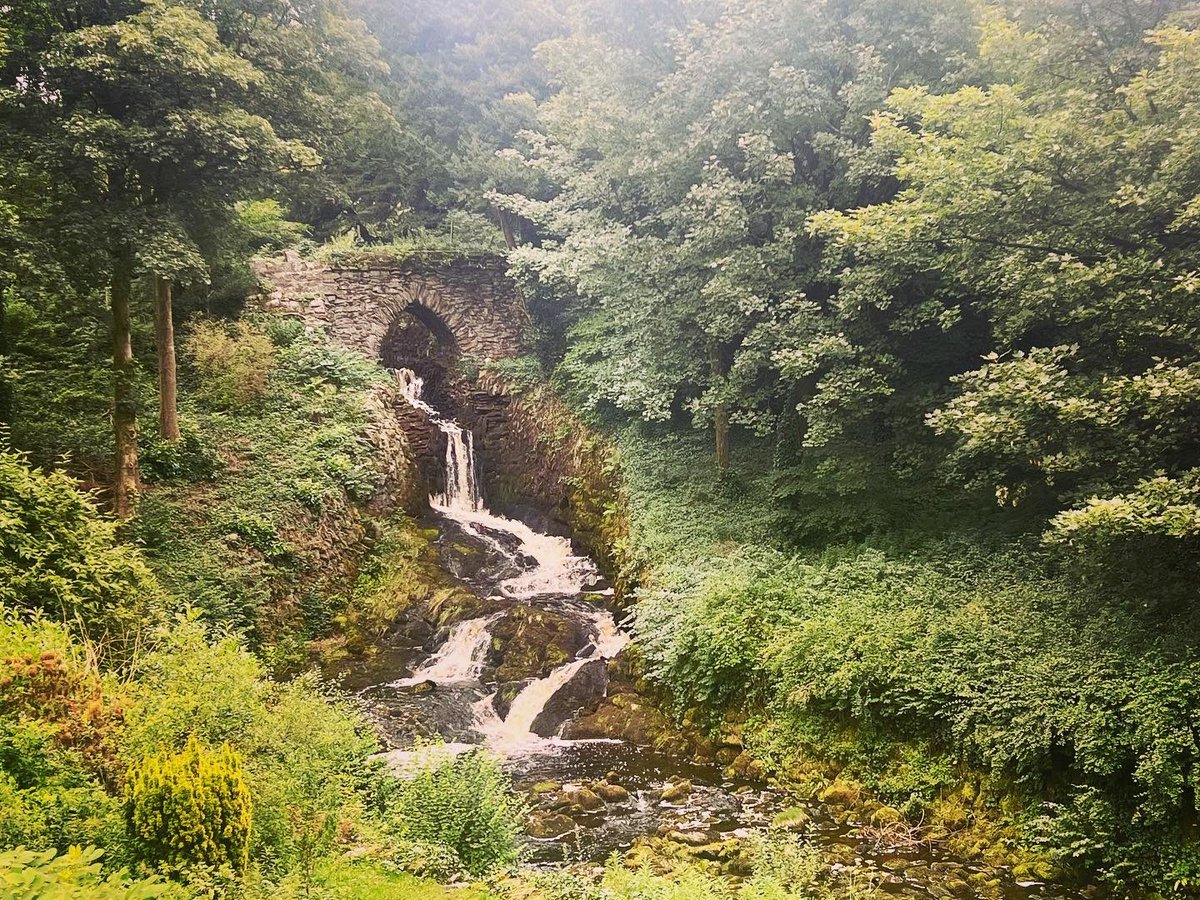 CalvertStephen's tweet photo. @Matt_Pinner https://t.co/dWMum55L2N