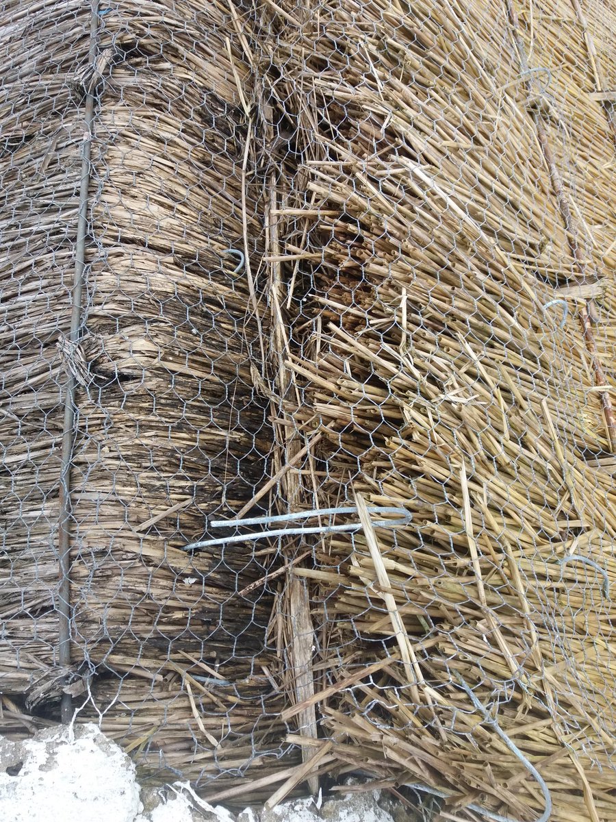 thatchertaggart's tweet photo. Yes for the record this is how #MasterThatcher Ivor Kilpatrick left the top of a listed #thatched building in #Lisburn which is now the subject of an Urgent Works Notice to stop the water running down the back of the #thatch. Click on this link, rear pic https://t.co/ubBlsofTB0 https://t.co/K0Qg4T1hEk