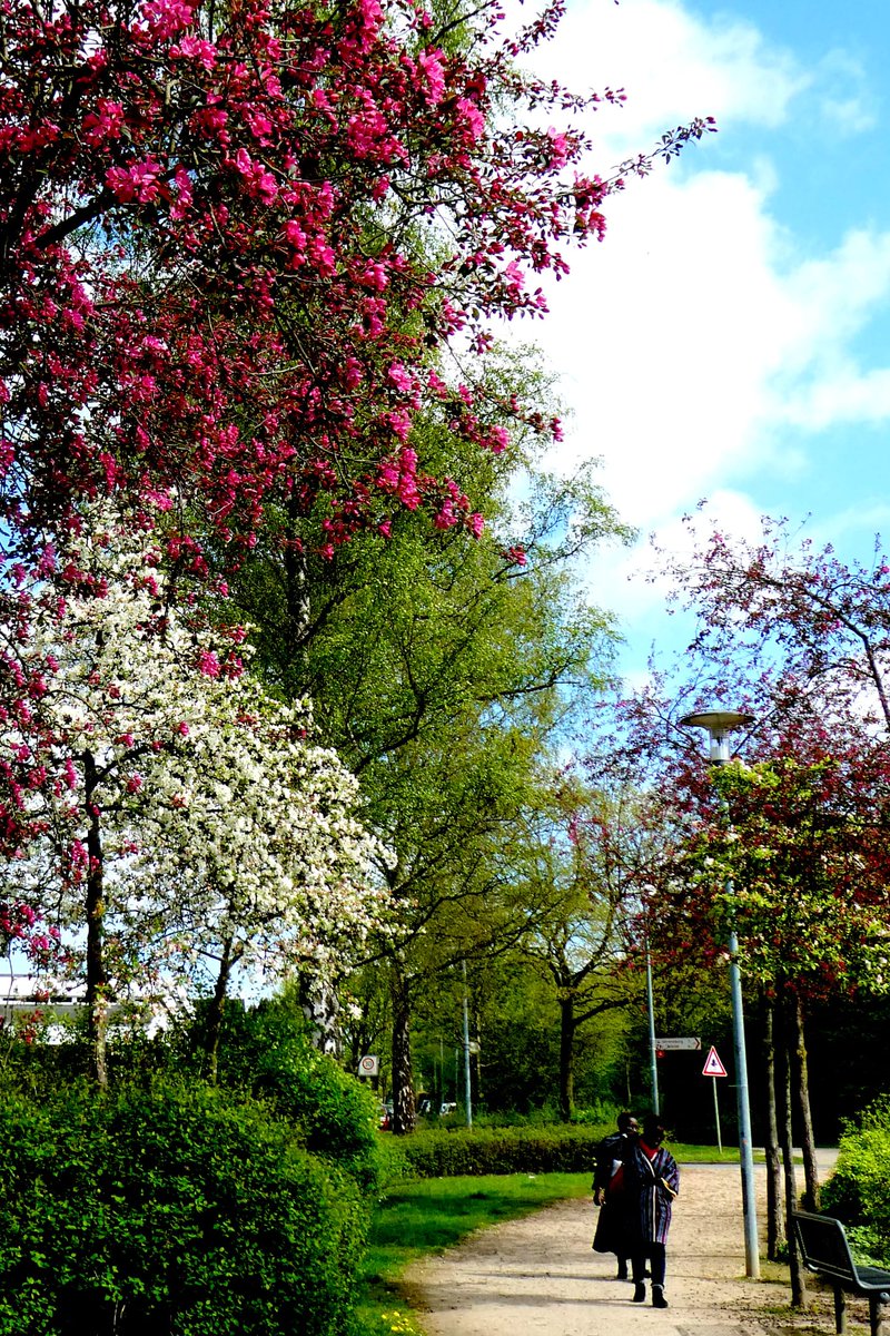 The ServiceMag tweet media