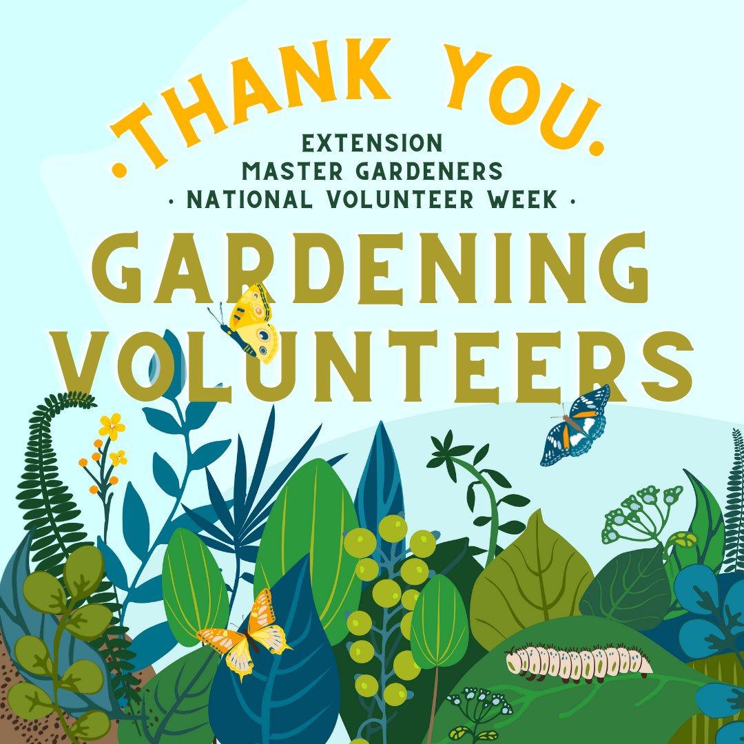 We love our volunteers!!

From the bottom of our Land Grant University hearts... thank you to our Purdue Extension Master Gardener volunteers. Answering the call (&amp; email!) to support and protect local communities and plants everywhere.