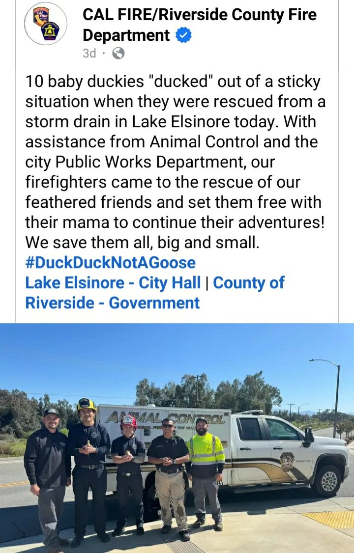 Riverside County Fire Department 
#ProtectAllAnimals #CommunityUnity 
#makeearthgreatagain #RiversideCounty 
#lakeelsinorecaliforniacommunityunity