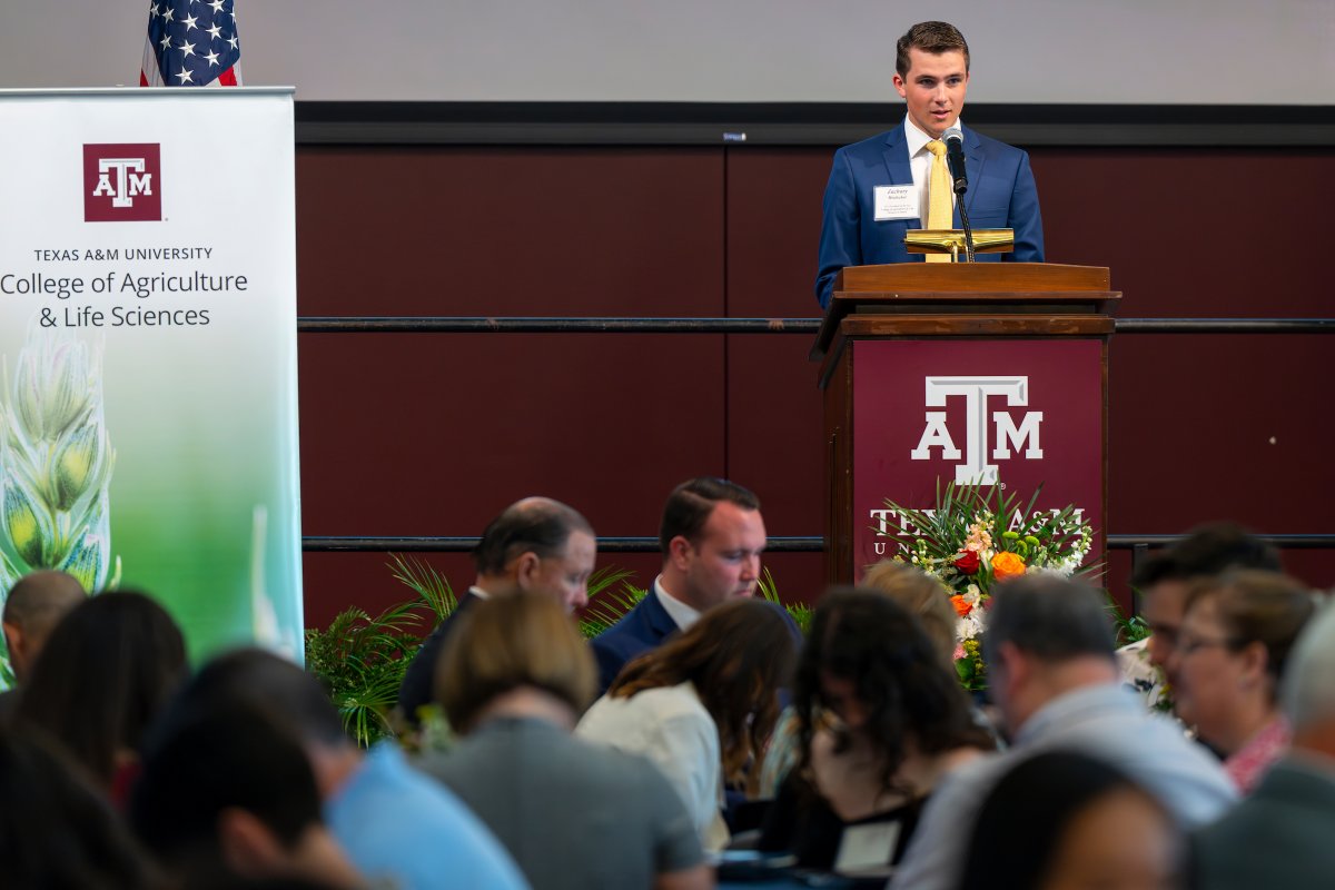 Students and faculty were recently recognized for their outstanding accomplishments at the 68th annual College of Agriculture and Life Sciences Convocation. Learn about the award winners and see photos of the event: tx.ag/Convocation24