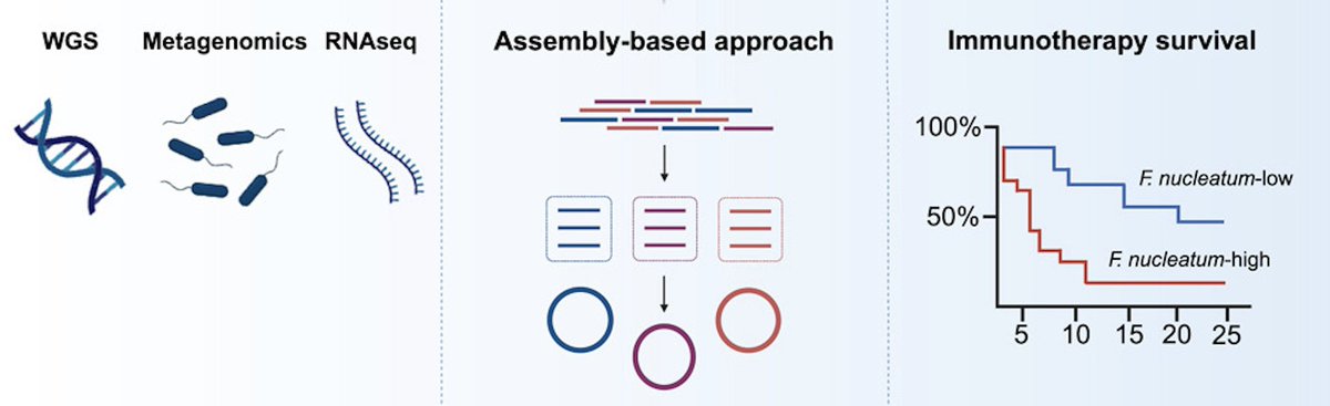 Lasker Foundation (@laskerfdn) on Twitter photo To investigate the cancer #microbiome, scientists integrated genomic & clinical data from 4,160 metastatic tumors. One key finding–presence of #Fusobacterium in #lungcancer correlated with resistance to #immunotherapy.  
<a href="/IMimpen/">Iris Mimpen</a> <a href="/Joris_vd_Haar/">Joris van de Haar</a> <a href="/NKI_nl/">The Netherlands Cancer Institute</a> 
ow.ly/zxbX50Rgc9j To investigate the cancer #microbiome, scientists integrated genomic & clinical data from 4,160 metastatic tumors. One key finding–presence of #Fusobacterium in #lungcancer correlated with resistance to #immunotherapy.  
<a href="/IMimpen/">Iris Mimpen</a> <a href="/Joris_vd_Haar/">Joris van de Haar</a> <a href="/NKI_nl/">The Netherlands Cancer Institute</a> 
ow.ly/zxbX50Rgc9j