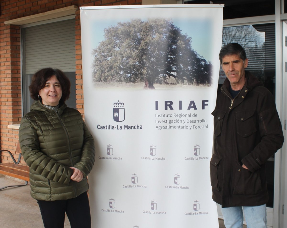 CanalUGR's tweet photo. 🦠Investigadores de la #UGR descubren cómo determinados parásitos habitan en las abejas y las ponen en riesgo

🐝La abeja de la miel, así como las 20.000 especies existentes, han sufrido un alarmante aumento de mortalidad en los últimos años

ℹ️https://t.co/FlTdheF9qA https://t.co/dzhGG6ztOe
