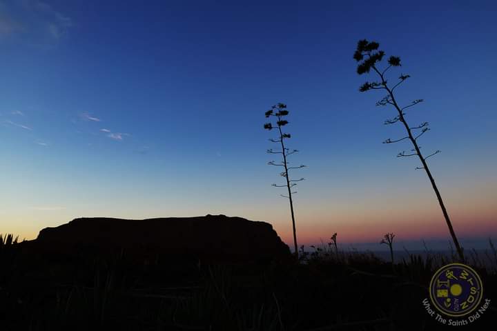 SaintsDidNext's tweet photo. WHEN IT’S GOOD…
This evening, one minute after sunset, on the way back from Cox’s Battery. The unmistakable silhouette of Longwood Barn with a couple aloes thrown in for flavour.
#sthelenaisland #sunsetsilhouette #atlanticsunset #aloes https://t.co/Mcvv5AEe86