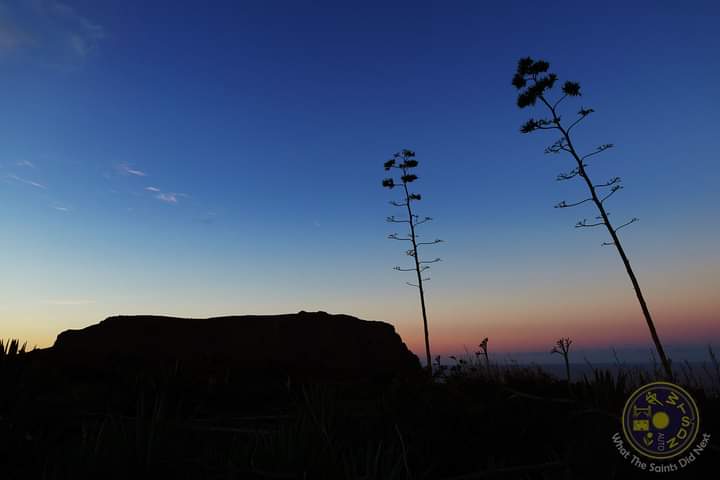 WHEN IT’S GOOD… This evening, one minute after sunset, on the way back from Cox’s Battery. The unmistakable silhouette of Longwood Barn with a couple aloes thrown in for flavour. #sthelenaisland #sunsetsilhouette #atlanticsunset #aloes